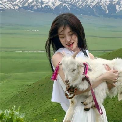 战火下的小花